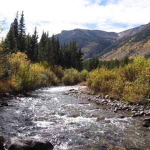 Meet your Posher, Renee